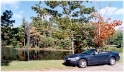 Ford Mustang, New England America